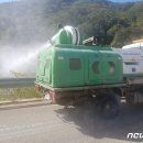 도진농장 뉴스1