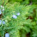 오일프러스 이미지