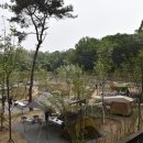 초안산캠핑장 이미지