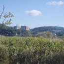 금오게이트볼장 이미지