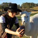 엠버농장 이미지