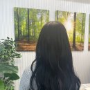 초코숲헤어