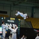 팀태권도장 이미지