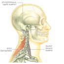 아놀드홍짐 킨텍스점 이미지