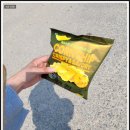 경기도 화성 가볼만한곳 전곡항 해적유람선 제부도 누에섬 요트체험 국내 당일치기 여행