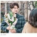 목화(아) 이미지