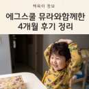 라임 | 엄마표영어 4개월 해보니 달라진 점 : 에그스쿨 뮤지컬라임 후기