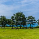 씨에스 호텔 이미지