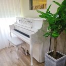 늘푸른피아노학원 이미지