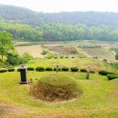 진화 묘 이미지