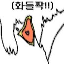 피노왁싱