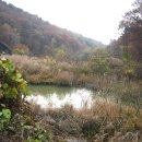 이집 묘소 이미지