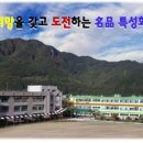 도계전산정보고등학교 네이버블로그
