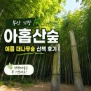 그숲 (부산점) | 부산 기장 아홉산숲 후기｜여름 대나무숲 산책, 만평대숲은 꼭 가보세요