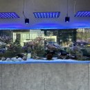 산호미트 이미지