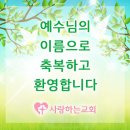 서울시 용산구 장문로에서 새가족으로 등록하셨습니다. 이미지