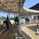 홍성군 승마장 이미지