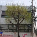 후암연세치과의원 이미지