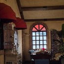 베누스 | 파주 파스타 양식 <베누스> 후기 / 솔직 후기