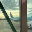 대한서비스 | [내돈내산/대한항공] 대한항공 싱가포르행 탑승 후기✈️ 기내식부터 서비스까지 솔직 리뷰