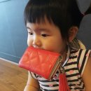 멍멍이냥 이미지