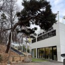 우산리 | [Baby][돌준맘] 연인의 정원 안산시흥점 답사/계약후기/짝꿍이벤트!