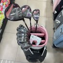 (주)아이언모터스 김해 | 김해 골프샵 젝시오13 여성 중고 풀세트 민트급 입고 소식