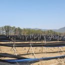 삼싹농장 이미지