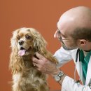 우성동물병원 이미지