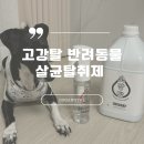 태진비앤씨 | 고강탈 강아지 살균소독 탈취제, 내돈내산 추천