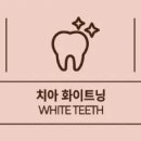 디올메디 이미지