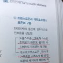 스포존 이미지