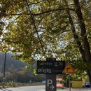 풍일로(일직면) 이미지