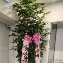 청담밴스의원 이미지