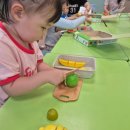 브레인어린이집 | 롯데마트 문화센터 브레인노크 문센 수강 솔직후기(28~30개월)