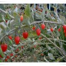 열매한의원 이미지