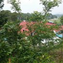 빨강지붕민박 이미지