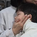 솥뚜껑두루치기 | 평택맛집 합정동맛집 조개터맛집 솥뚜껑두루치기 내돈내산 후기