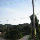 한수목장 Daum카페