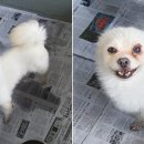 하이마트 앞 이미지