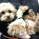 창선해물탕 이미지