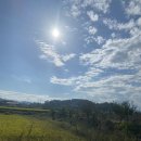 동읍672 | 창원 가볼만한곳:: 무점마을 코스모스/창원 단감테마공원 핑크뮬리/카페주남(feat. 엄마와 데이트)