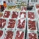 와이식자재마트무안점