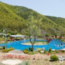 미로정원 이미지