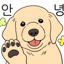 별보리스테이