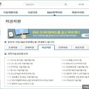 진흥 행정사 사무소 이미지