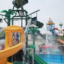 오즈키즈워터파크 이미지