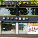 피카소 동물병원 이미지