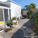 제주코기네 이미지