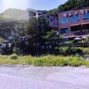 월드비젼골프존 이미지